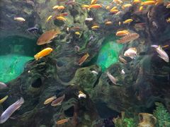 -常州海昌海洋探索馆