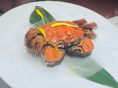 -觀芷隐轩