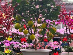 -三旗百汇商品城