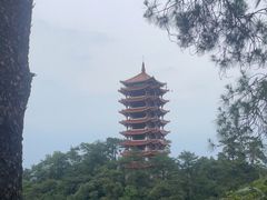 -缙云山景区