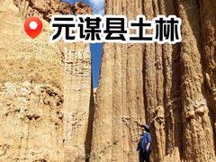 -元谋浪巴铺土林景区