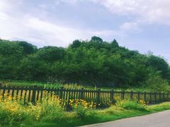 -飞天山旅游区