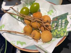 -季季山·云南野生菌火锅(上海首店)