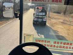 -盐城丹顶鹤湿地生态旅游区
