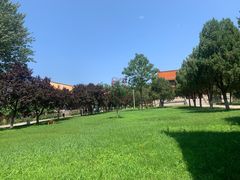 -禹城市禹王亭博物馆