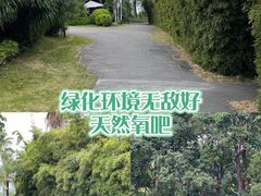 -蓝楹湾度假酒店