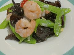 -东来菜馆•手抓海鲜家常菜•海鲜锅贴(鸽子窝店)