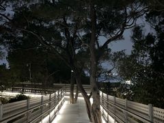 -福道