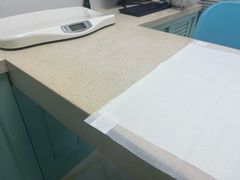 -莘程宠物医院(金山店)