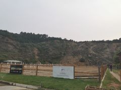 -枫露马术学院(藏书校区)