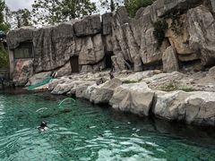 -上海野生动物园