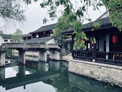 -鲁镇