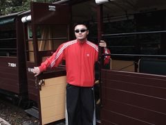 -企鹅岛