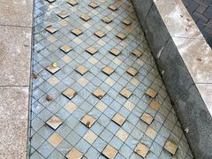 -苏州河梦清园环保主题公园