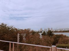 -台场海滨公园船码头