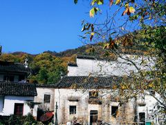 -塔川景区
