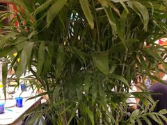 -三江源活鱼现烤(维多利摩尔城店)