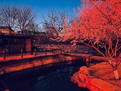 -三里河公园