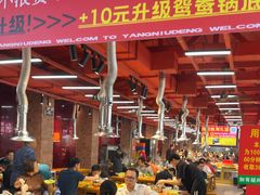 -养牛邓·潮汕牛肉海鲜自助火锅(广州店)