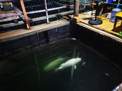 -蓝湾碧波·老字号·疍家非遗海上餐厅
