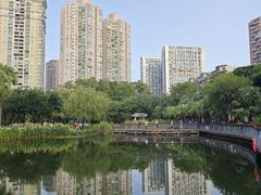 -四海公园(南山区)