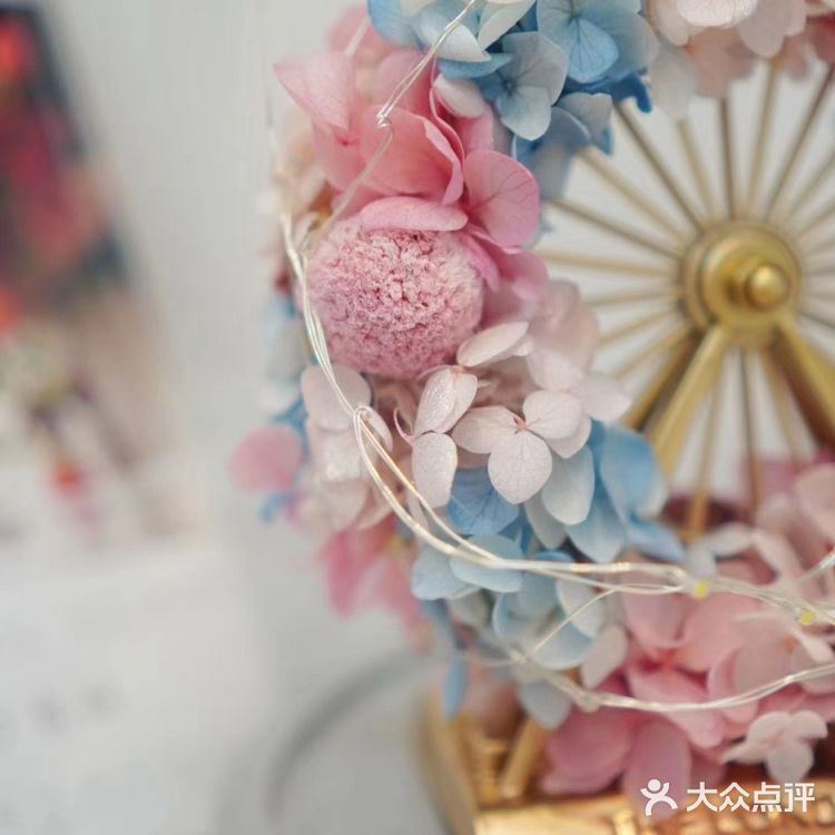 南风未起 我遇见你 南风微起 念你成疾