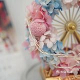 南风未起 我遇见你 南风微起 念你成疾