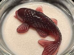 -浩运·海鲜青岛菜·海胆水饺(石老人店)