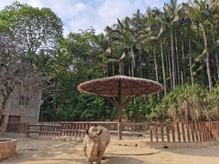 -福州动物园