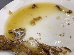 -力哥地道海南菜·联谊文昌鸡老店