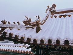 -颐和园