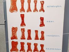 -北京周口店北京人遗址博物馆