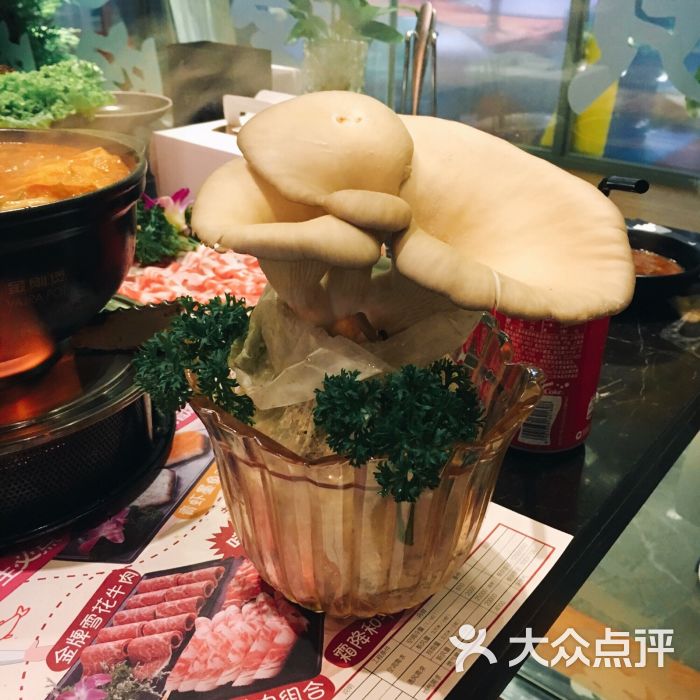 小三宝火锅(1788国际中心店)-活体鲍鱼菇图片-上海美食-大众点评网