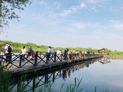 -溱湖国家湿地公园