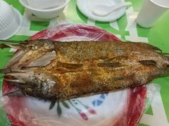 -布尔津河堤夜市