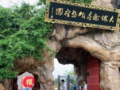 -大槐树寻根祭祖园