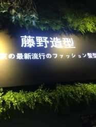 点击看大图 -藤野造型