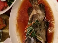 -巴音浩日娲·蒙餐(双林东路店)