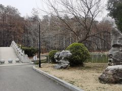-汉水公园