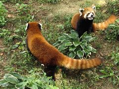 -大连森林动物园