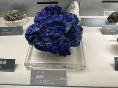 -中国地质博物馆
