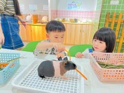 -Moni星球萌宠·小马宝莉·灵蛇·高端高阶全萌宠互动体验俱乐部(红豆国际广场店)