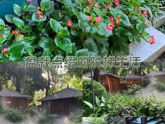 -大妙火锅·非物质文化遗产(东湖公园店)