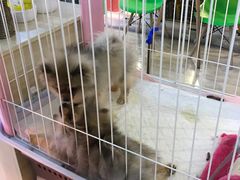-姐夫的小菜(新中关购物中心店)