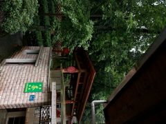 android_upload_pic-龙井村