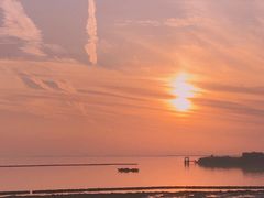 -合肥滨湖国家森林公园