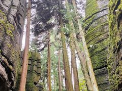 -梭布垭石林景区