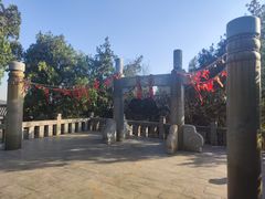 -云龙山