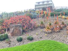 -墨尔本皇家植物园