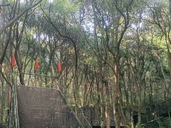 -富春桃源风景区